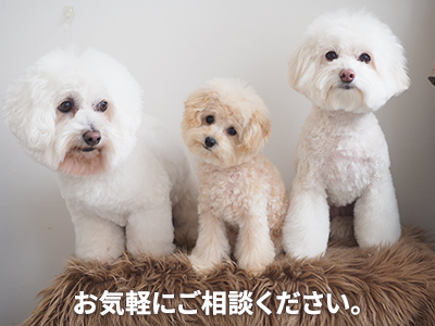 K’s プランニング株式会社 | 空き家復活なら | 空き家復活ドットコム